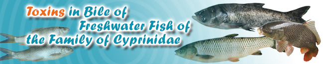 Toxins in Bile of Freshwater Fish of the Family of Cyprinidae
