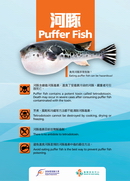 Why Should We Avoid Consuming Puffer Fish