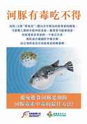 Do Not Eat Poisonous Puffer Fish