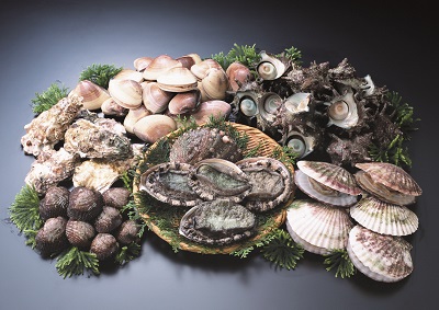貝類食物