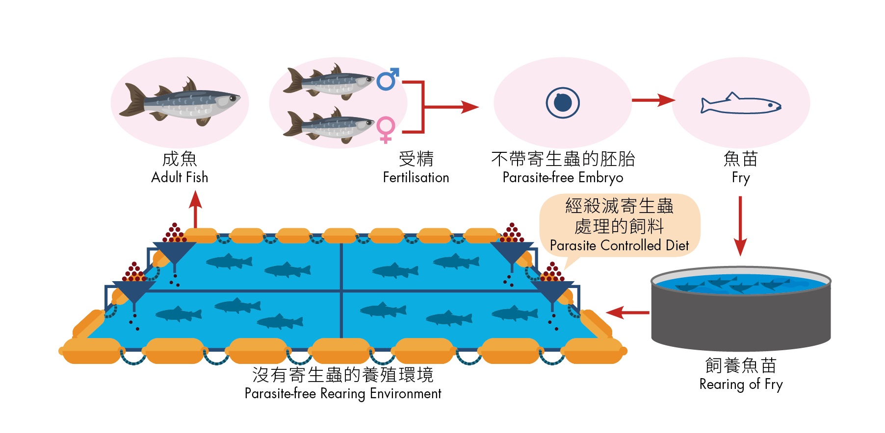 Good aquaculture practices help reduce the risk of parasitic infestation