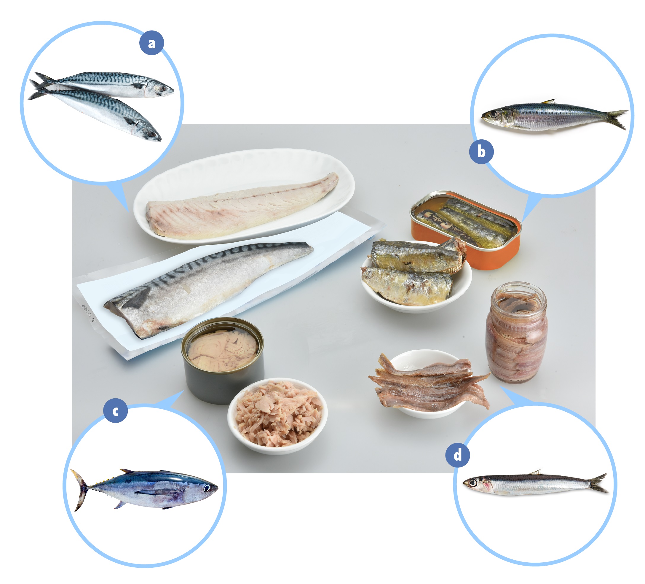 Diagram: Examples of fish with an elevated level of naturally occurring histidine: (a) mackerel, (b) sardine, (c) tuna and (d) anchovy. Some of their respective products have also been found to contain a high level of histamine.