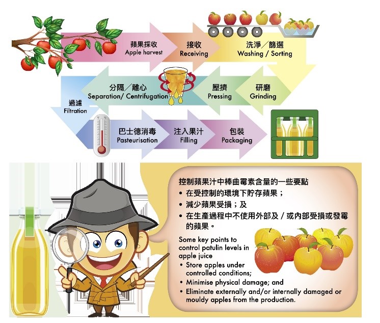 蘋果汁的一般生產流程圖，以及控制蘋果汁中棒曲霉素含量的一些要點