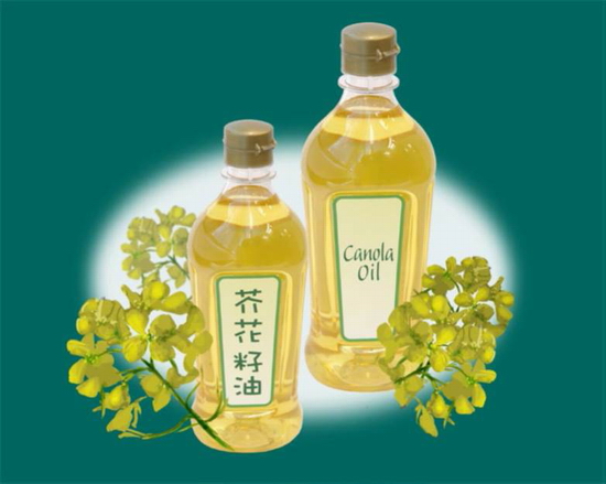 Canola oil contains only low levels of erucic acid as canola is developed from selective breeding of low erucic acid rapeseed plant.