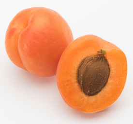 Apricot fruit and its raw seed in the stone