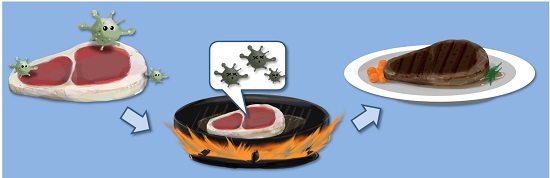 Raw meat should be cooked thoroughly before consumption.