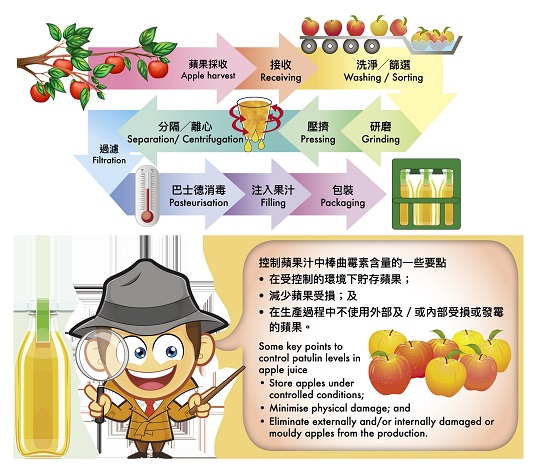 圖1：蘋果汁生產的一般流程圖及控制控制蘋果汁中棒曲霉素含量的一些要點