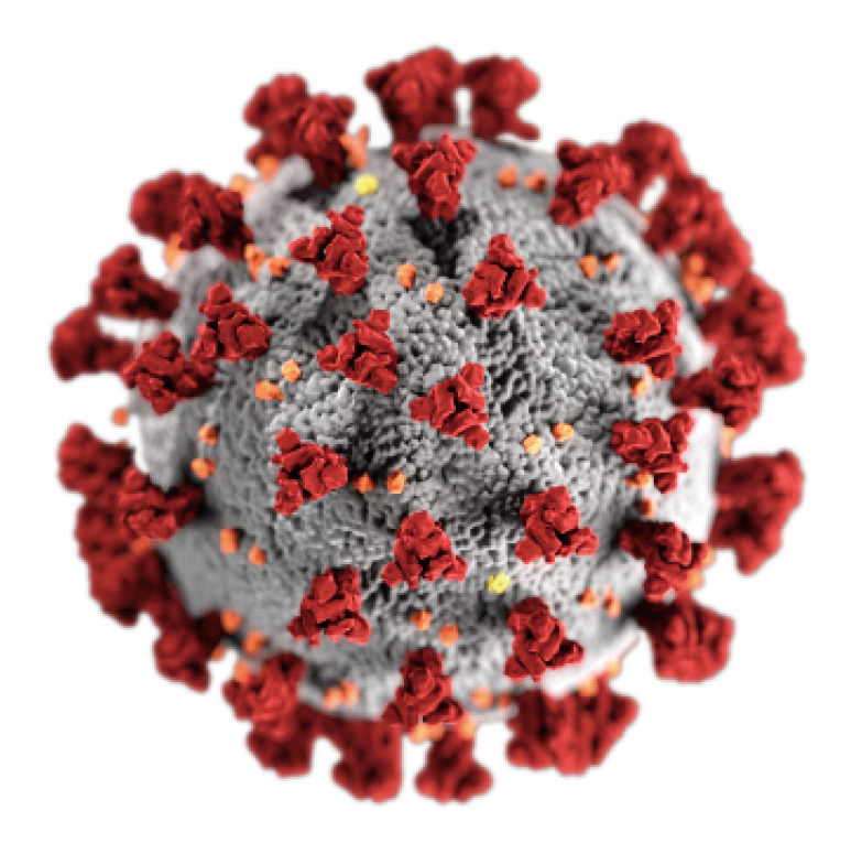 嚴重急性呼吸綜合症冠狀病毒2的一個病毒粒子