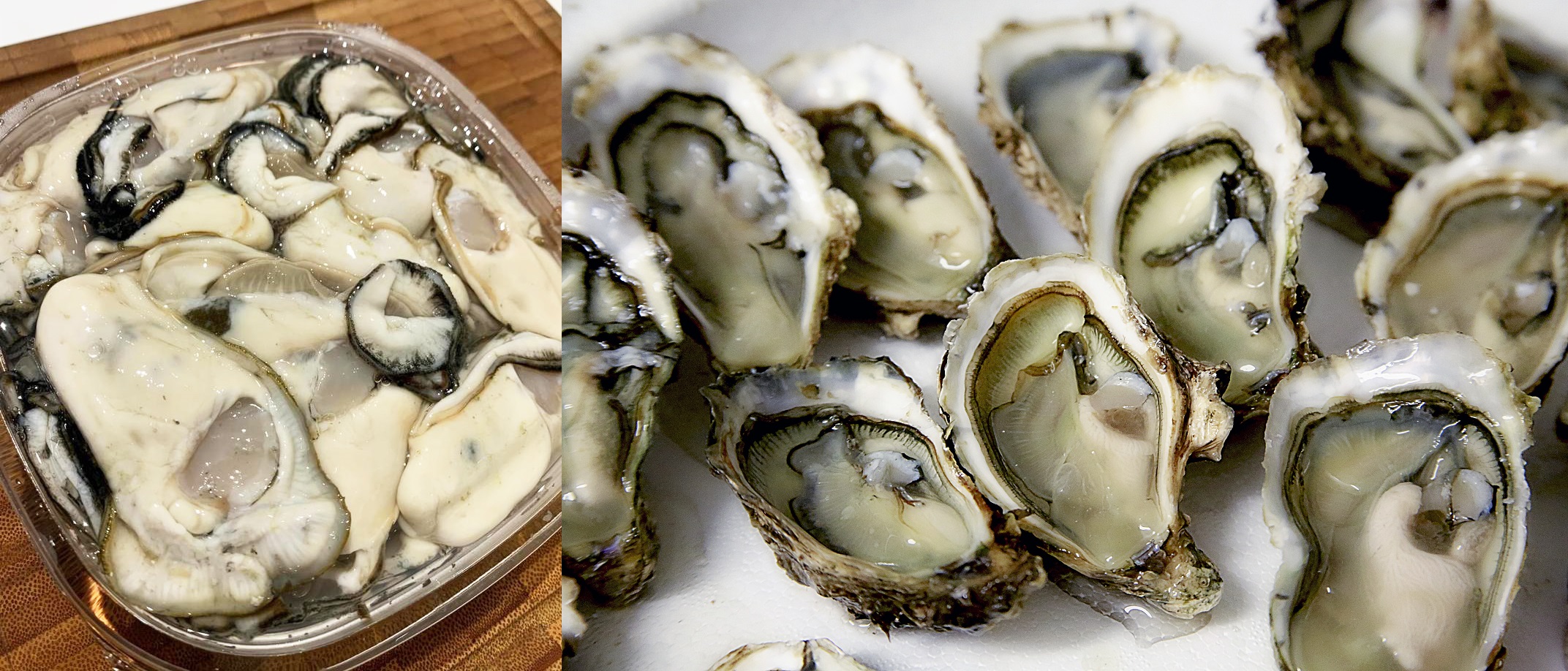 A photo of chilled pre-shucked raw oysters in a plastic tub and half-shell raw oysters
