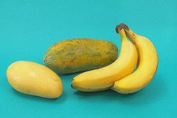 Delay ripening in bananas, papayas and mangoes