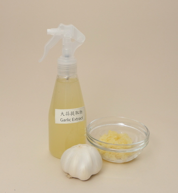 Garlic extract can be used as pesticide