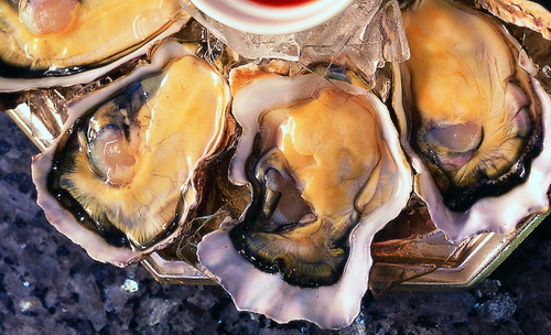 Picture taken from a buffet: Oysters may carry norovirus.