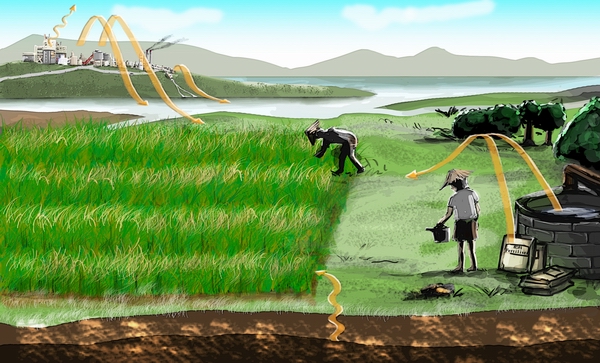 天然存在或人類活動(例如採礦)釋出的鎘可循土壤及水源進入稻株