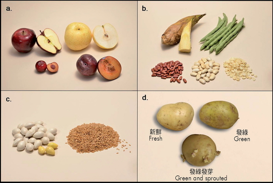 含有天然毒素的蔬果只要去除有毒的部分(a)；徹底煮熟(b)；以及限量進食(c)，便可安全無虞。切勿食用發綠或發芽的馬鈴薯(d)。