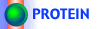 Protein
