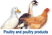 Poultry and poultry products