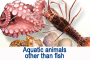 Aquatic animals other than fish