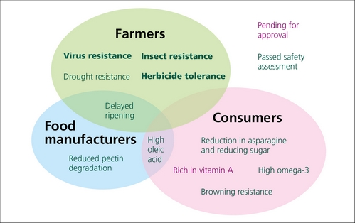 Figure 1: Examples of beneficial characteristics of GM food targeted for farmers, food manufacturers and consumers.