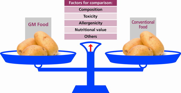 A simplified illustration of safety assessment of GM food utilizing the concept of the comparative approach