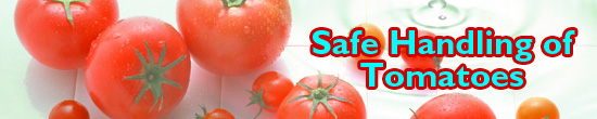 Safe Handling of Tomatoes 