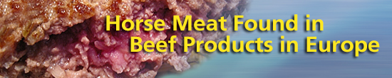 Horse Meat Found in Beef Products in Europe