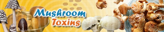 Mushroom Toxins