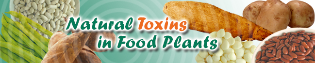 Natural Toxins in Food Plants