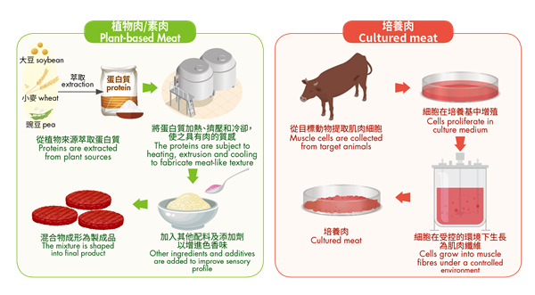 Production process of plant-based meat and cultured meat.
