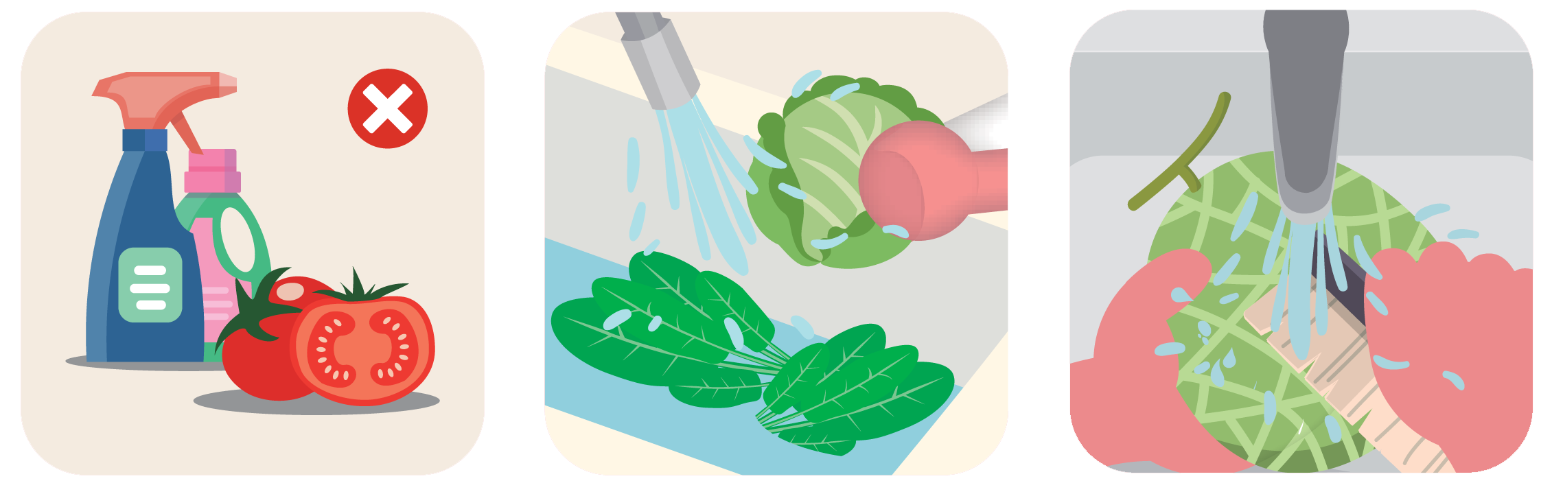 Wash vegetables thoroughly under running water