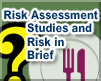 Risk Assessment Studies and Risk in Brief