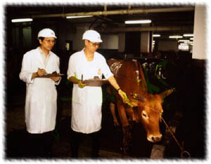 Image of showing two man taking meat inspection