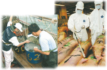 Guangdong, Hong Kong, Shenzhen, Zhuhai, Macao Health, Animal and Plant Quarantine and Food Safety Control Meeting 3