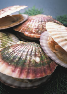 Understanding Paralytic Shellfish Poisoning Toxins (Biotoxins)