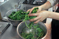 Wash the spinach thoroughly. Put the vegetable in icy water and set aside