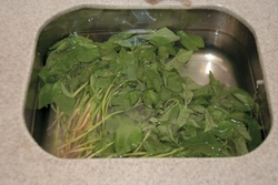 Rinse the vegetables and mushrooms. After rinsing, store them properly in a refrigerator at a temperature of 4oC