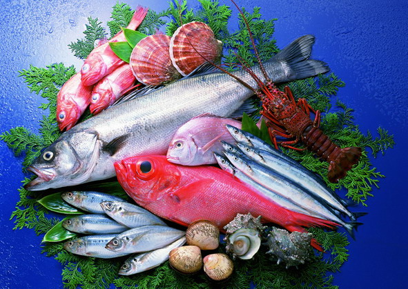 Seafood