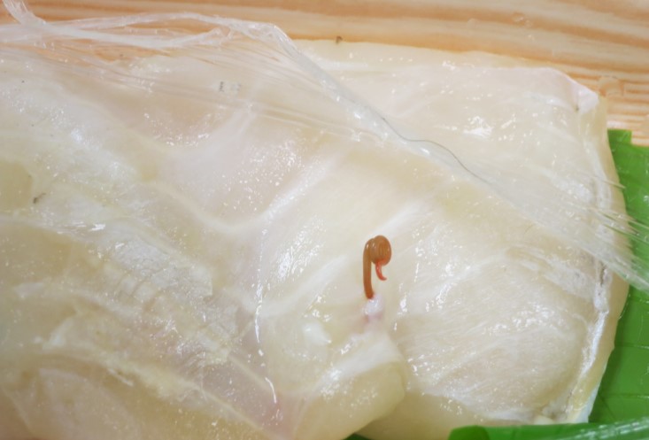 Raw fish found with a suspected parasite in a food complaint case