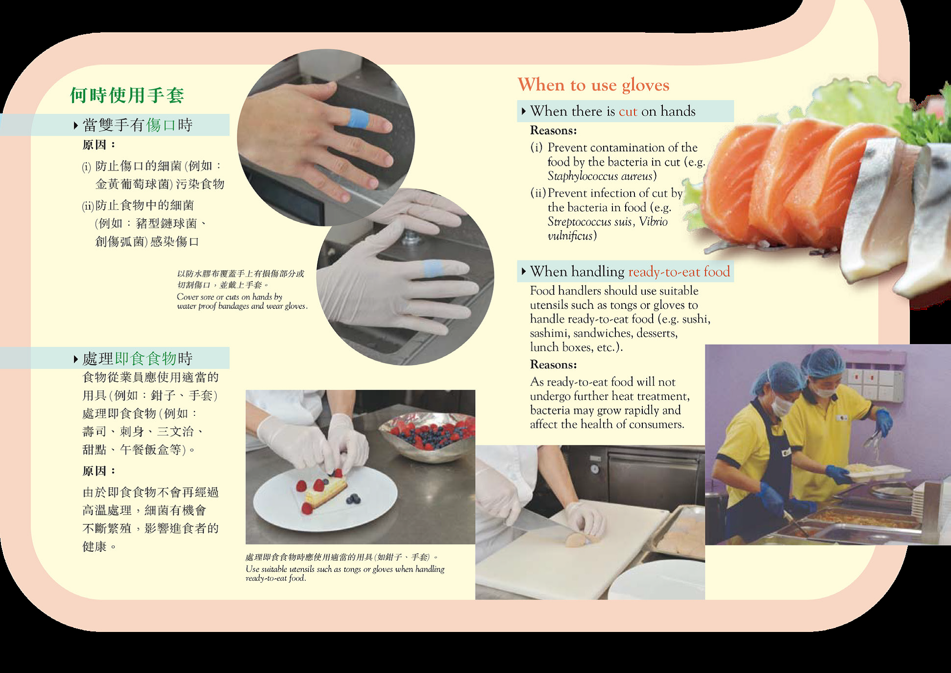 Disposable gloves should be changed frequently in the following situations: