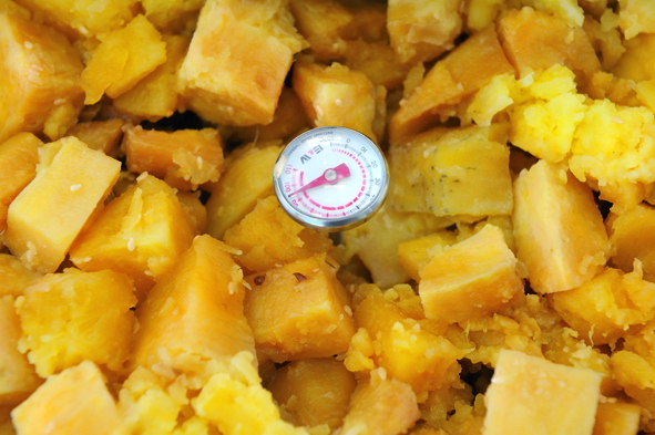 Food Safety and Temperature