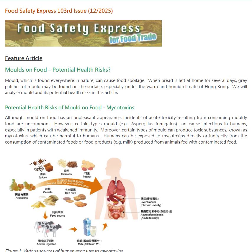 103rd Issue (12/2025)