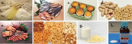Eight specific foods/ food ingredients causing food allergy that requirelabelling in prepackaged foods (a. cereals containing gluten (namely wheat, rye, barley, oats, spelt, their hybridized strains and their products), b. fish and fish products, c. eggs and egg products, d. peanuts, soyabeans and their products, e. crustacea and crustacean products, f. tree nuts and nut products, g. milk and milk products (includinglactose), h. sulphite in a concentration of 10 parts per million (mg/kg) or more