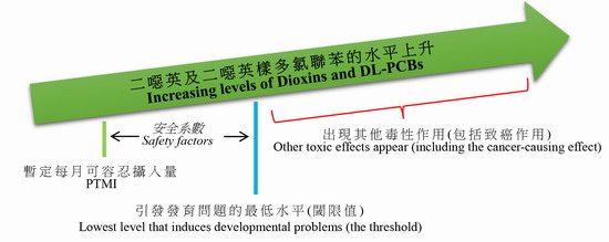 計算暫定每月可容忍攝入量的示意圖