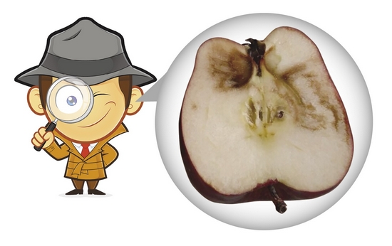 图2：任何外部或内部受损或发霉的苹果均不应用作生产苹果汁。