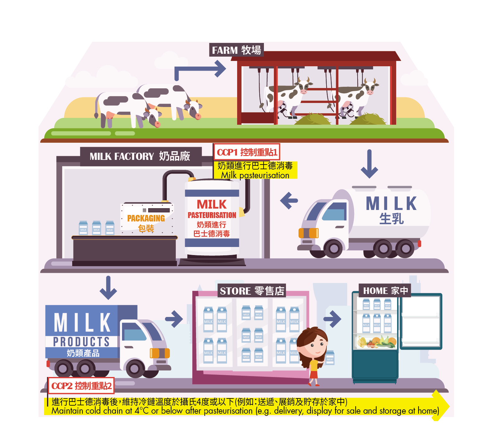 The general milk production process and critical control points 