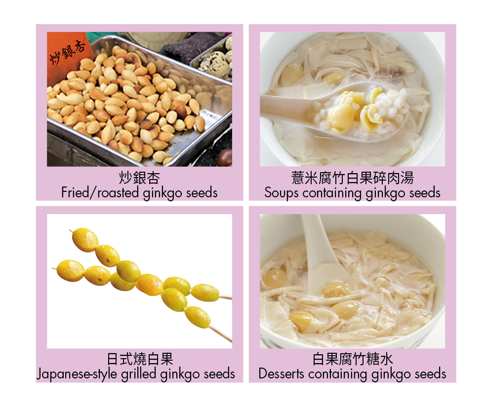 (a)Ginkgo seeds consumed as food