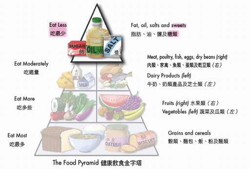 Illustration: The Food Pyramid
