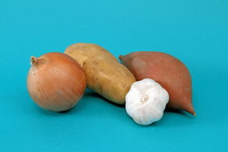 Limit unwanted sprouting of potato tubers, garlic and onion bulbs