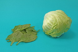 Reduce pathogenic microorganisms in fresh produces