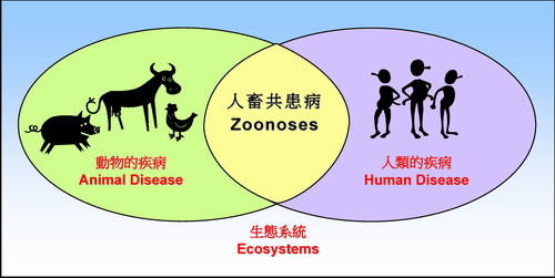 Diagram 1. Position of Zoonoses