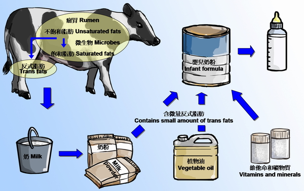 Sources of trans fats in infant formula Sources of trans fats in infant formula